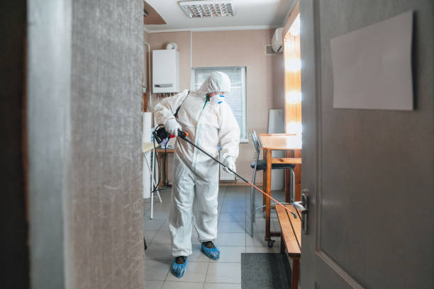 Best Mold-Related Health Consultation  in Diamond Ridge, AK