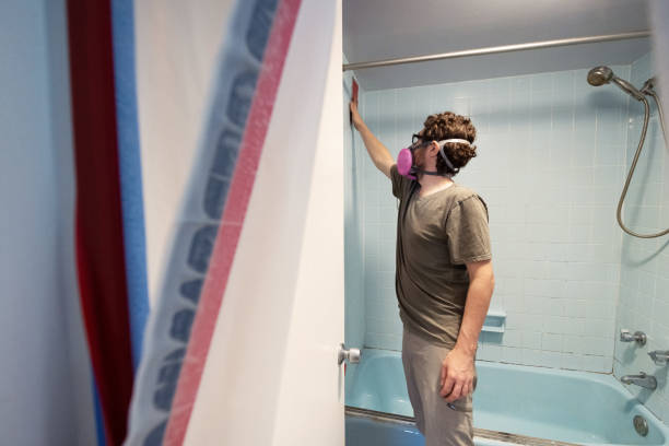 Best Mold Odor Removal Services  in Diamond Ridge, AK